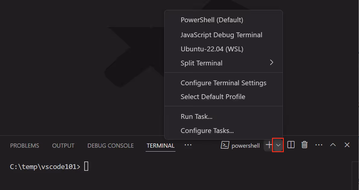 terminal launch profile